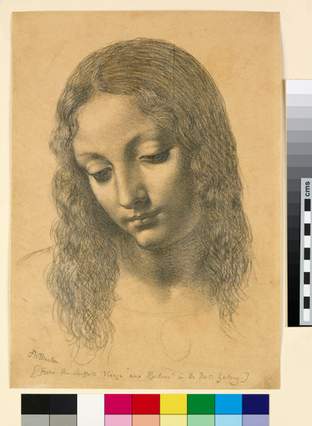 Ashmolean Museum Image Library Copy Of The Head Of The Virgin From Leonardo S Virgin Of The Rocks